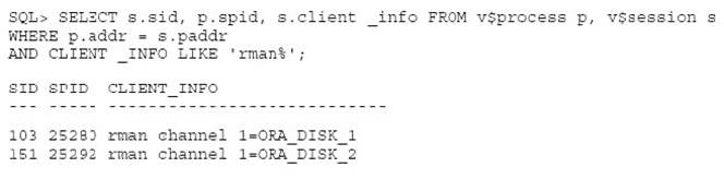 1Z0-053 dumps exhibit