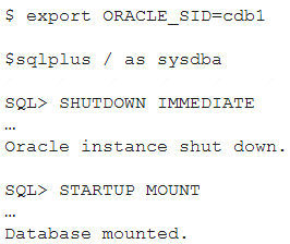 1Z0-083 dumps exhibit