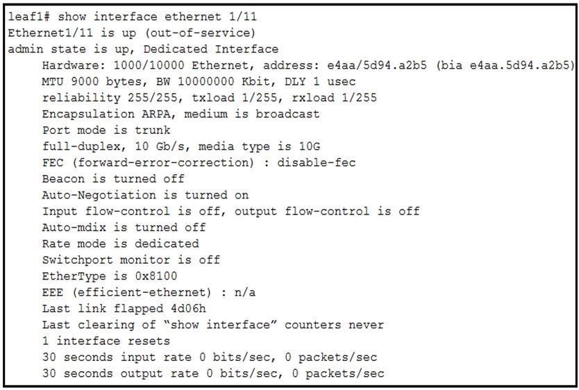 300-615 dumps exhibit