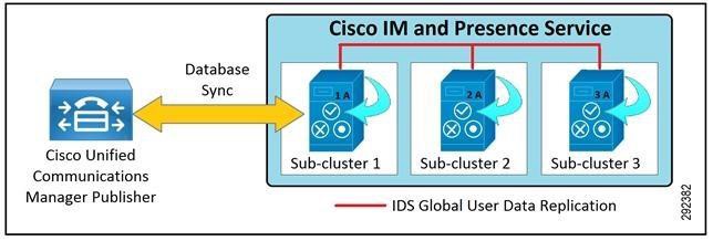 300-810 Dumps Guide